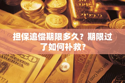 济南担保追偿期限多久？期限过了如何补救？