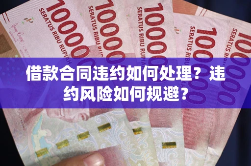 济南借款合同违约如何处理？违约风险如何规避？