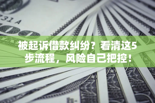 济南被起诉借款纠纷？看清这5步流程，风险自己把控！